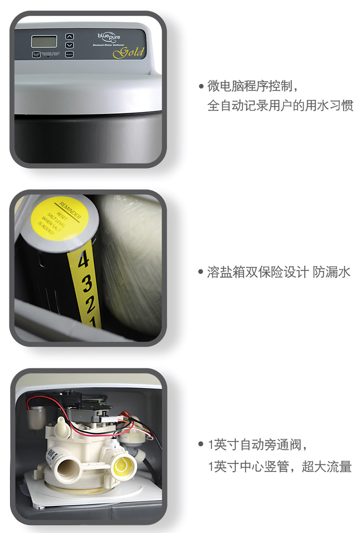 美国蓝飘尔中央软水机BWS-250